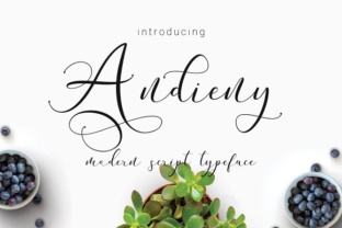 Andieny: A Modern Calligraphy Font with Handcrafted Charm