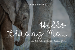 Hello Chiang Mai: A Relaxed Mono Line Script Font with Genuine Charm