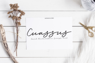 The Quiet Charm of Cuassus: How a Single Font Can Reshape Your Design Voice